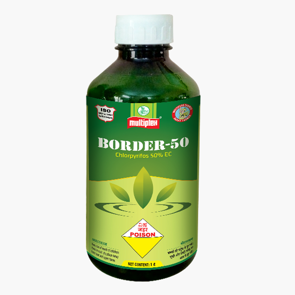 BORDER-50