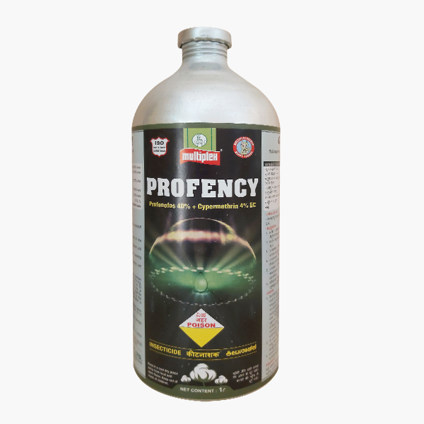 PROFENCY
