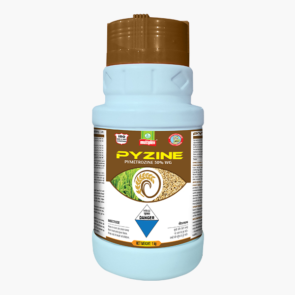 PYZINE