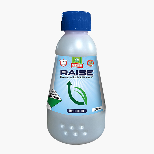 RAISE