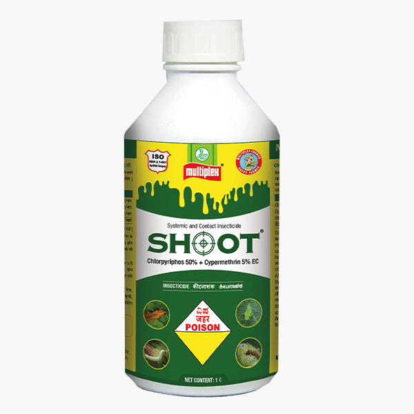 SHOOT
